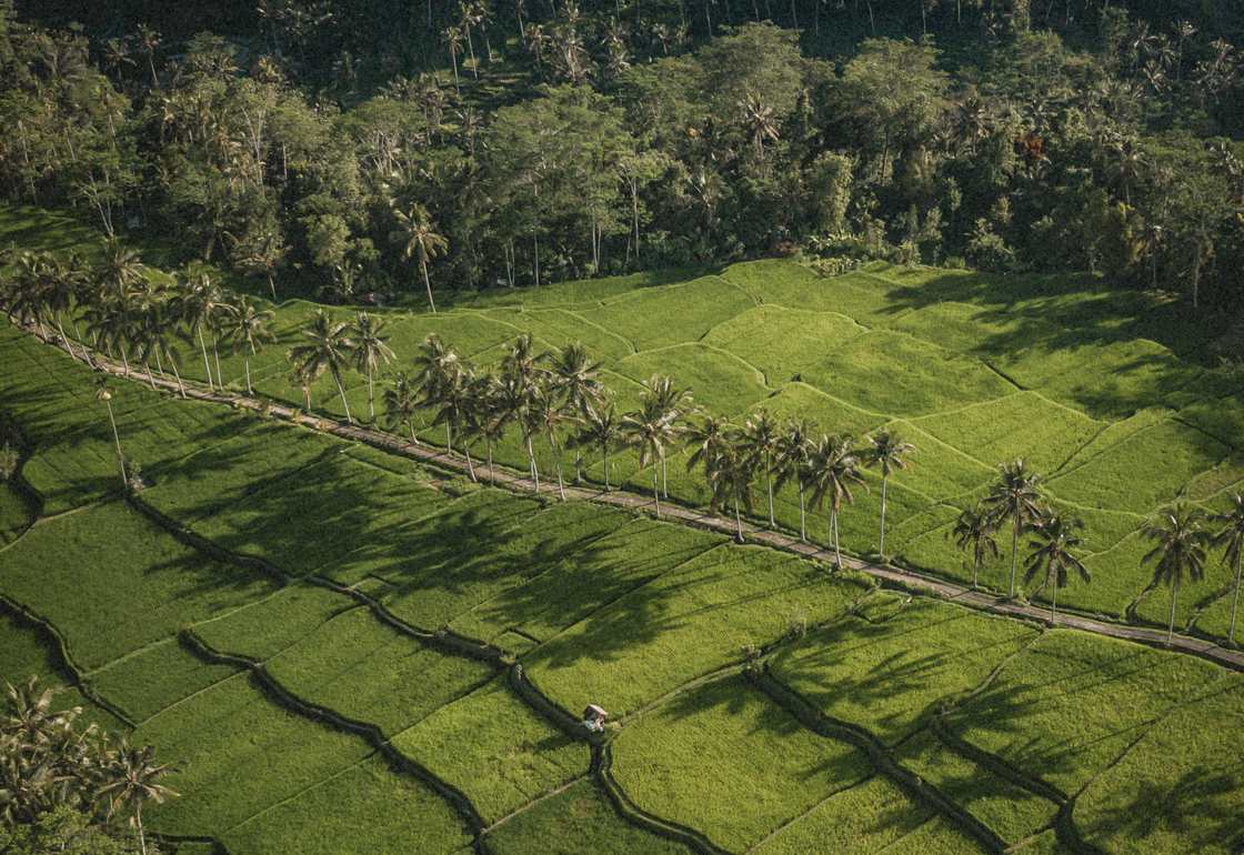 Bali en 10 dias