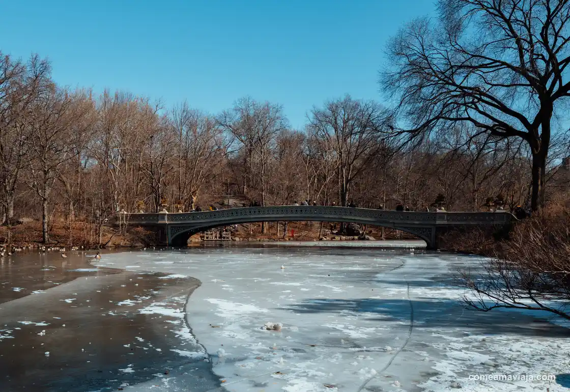 free tour central park