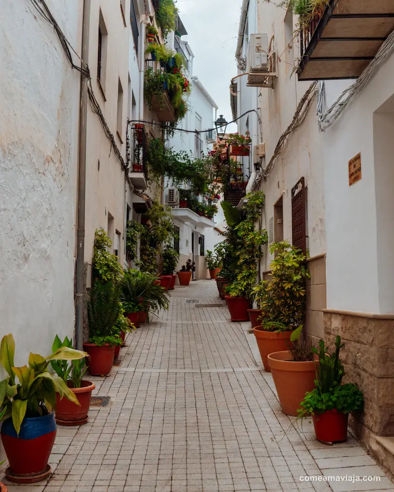 quesada
