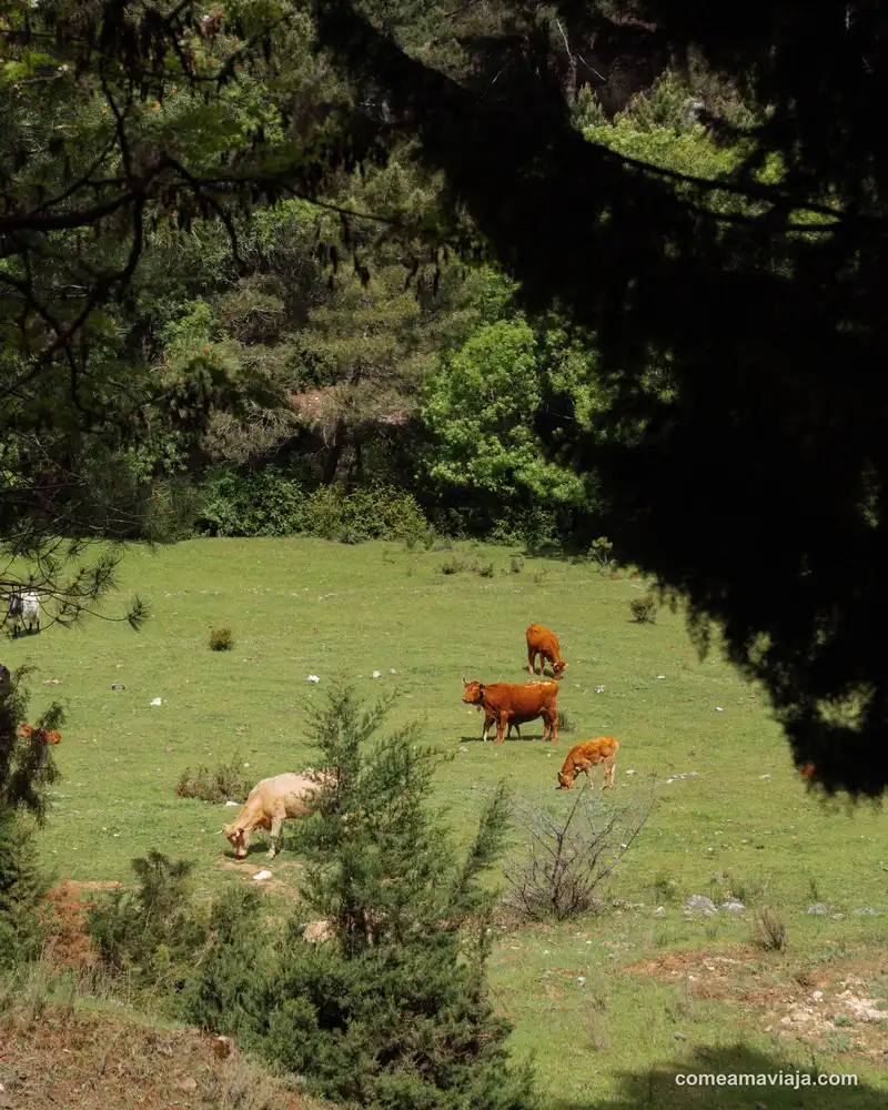 sierra de las villas