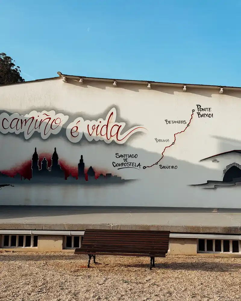 camiño e vida