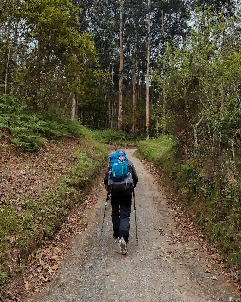 camino santiago ingles consejos