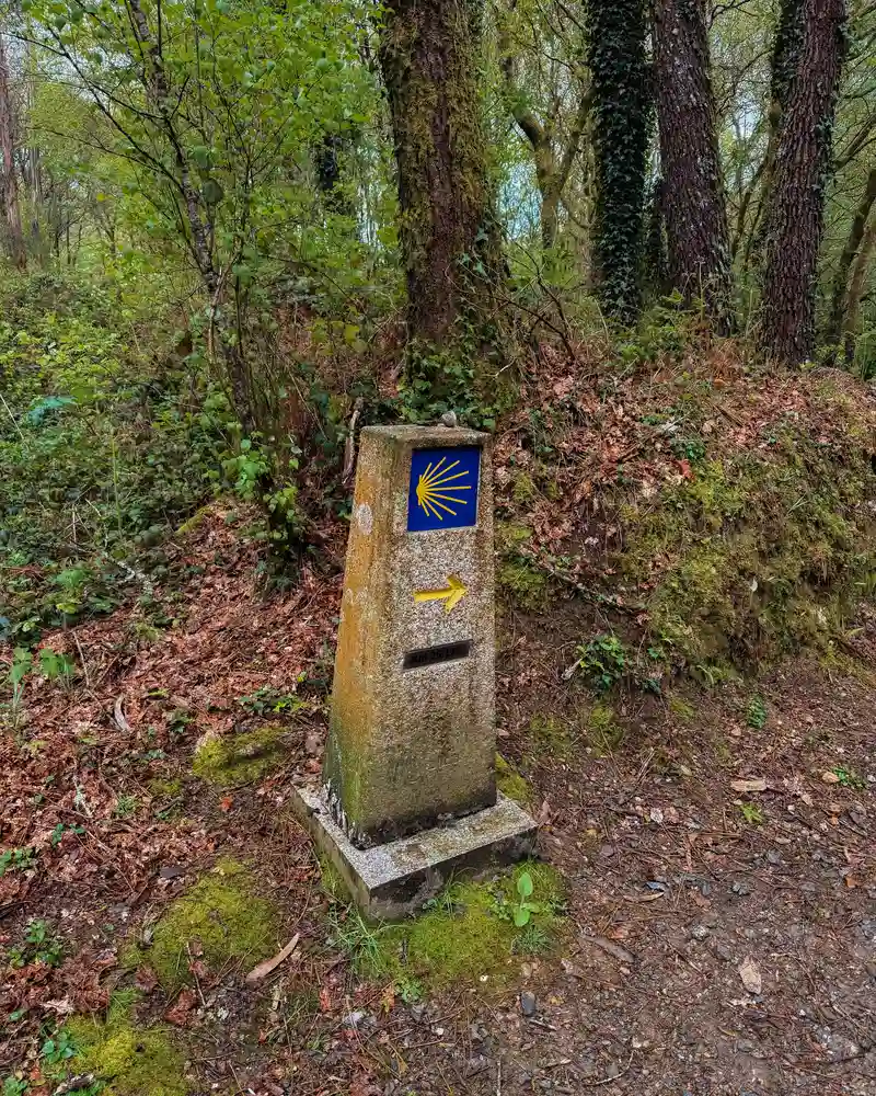 camino santiago ingles guia
