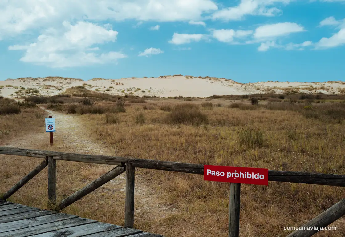dunas de corrubedo