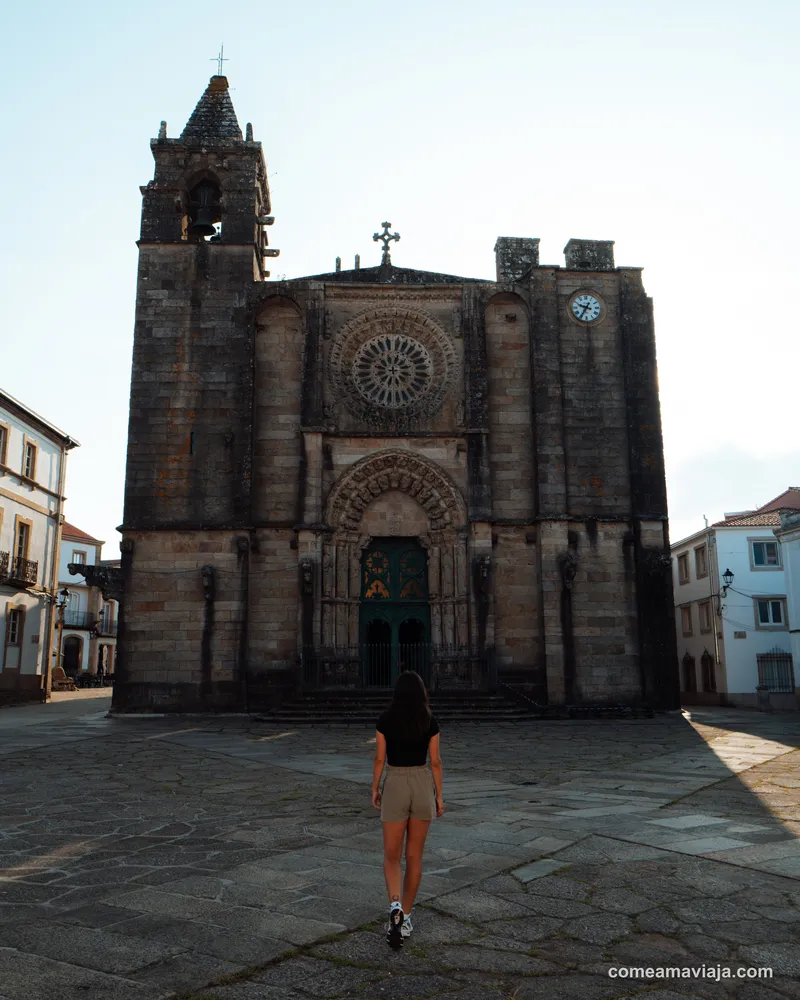 noia galicia